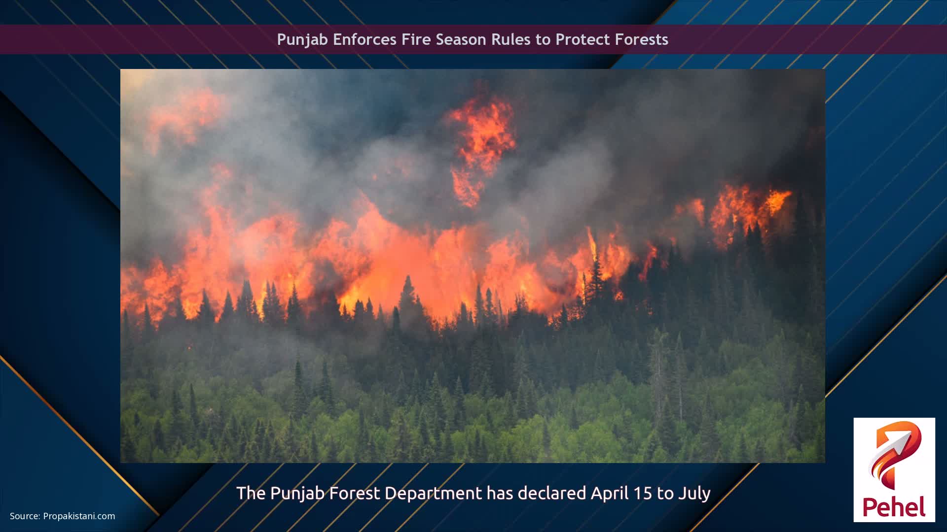 Punjab Enforces Fire Season Rules to Protect Forests