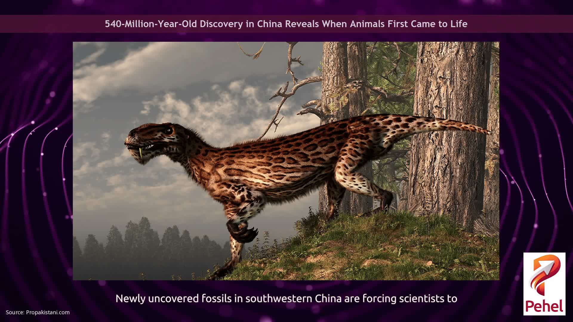 540-Million-Year-Old Discovery in China Reveals When Animals First Came to Life