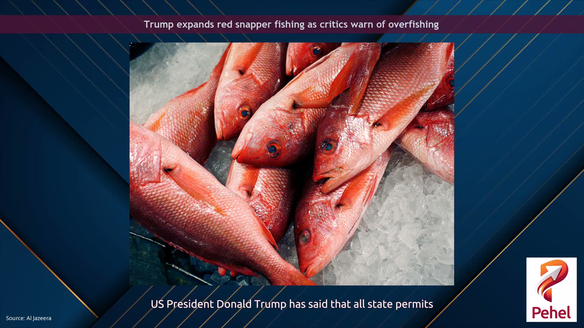 Trump expands red snapper fishing as critics warn of overfishing