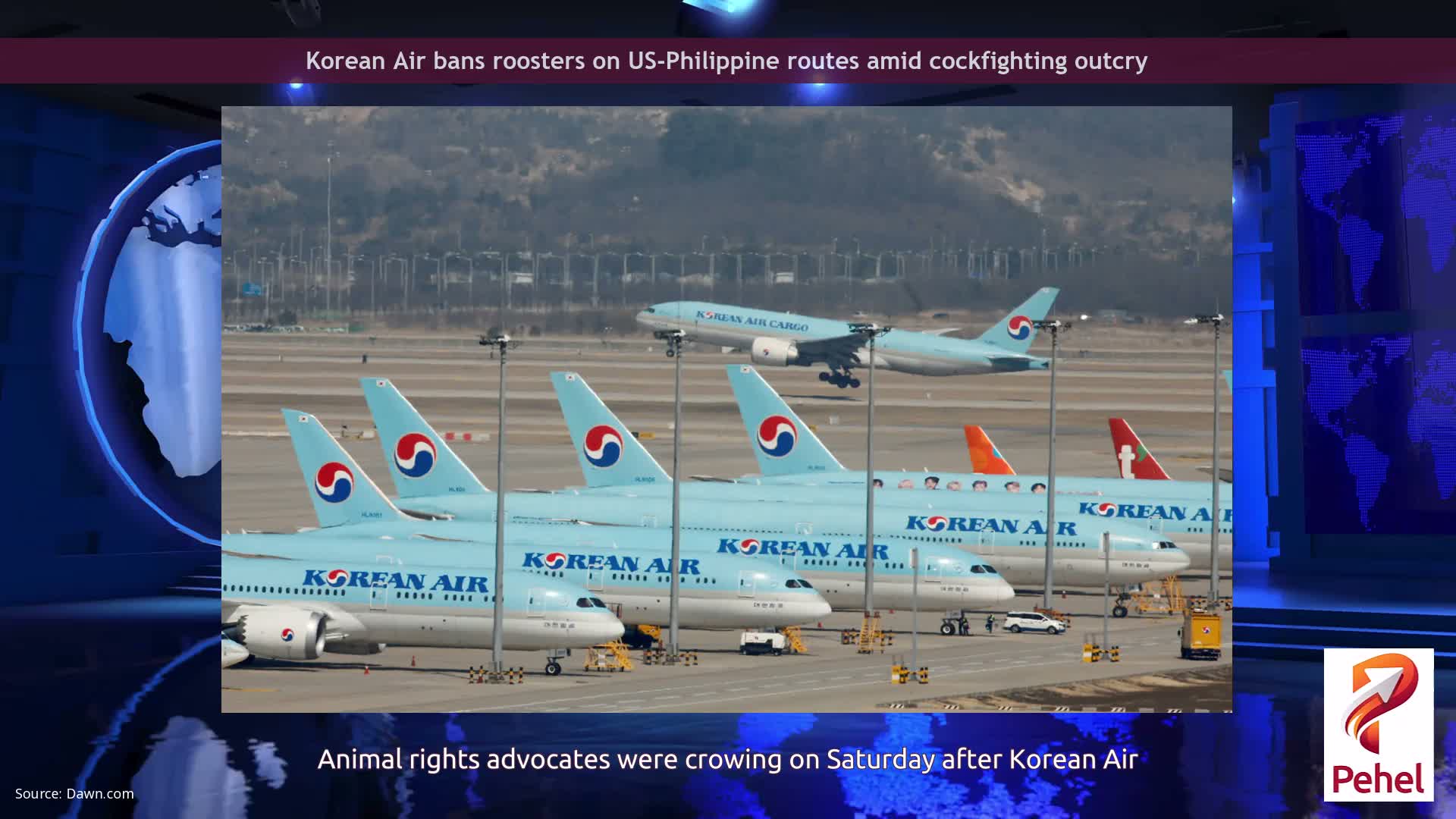 Korean Air bans roosters on US-Philippine routes amid cockfighting outcry