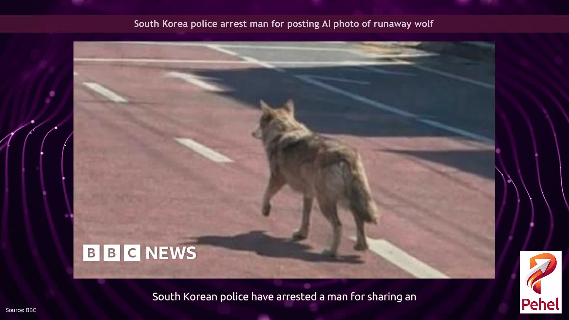 South Korea police arrest man for posting AI photo of runaway wolf