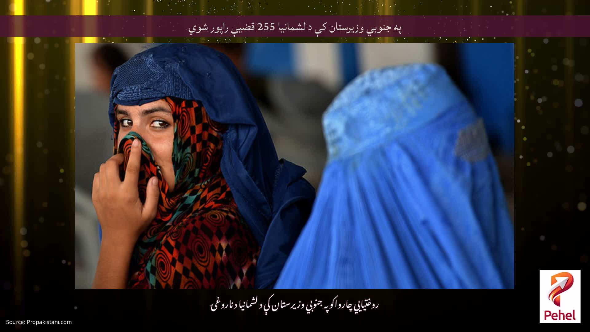 په جنوبي وزیرستان کې د لشمانیا 255 قضیې راپور شوي