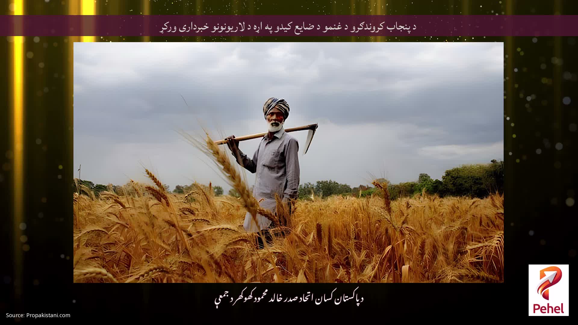 د پنجاب کروندګرو د غنمو د ضایع کیدو په اړه د لاریونونو خبرداری ورکړ