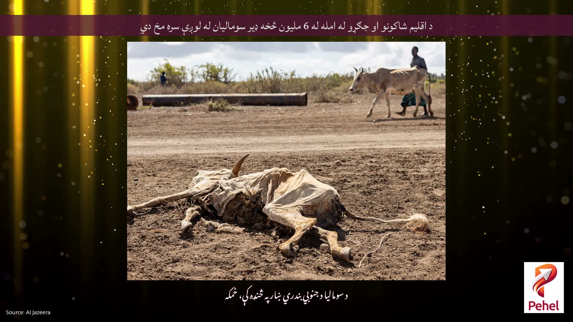 د اقلیم شاکونو او جګړو له امله له 6 ملیون څخه ډیر سومالیان له لوږې سره مخ دي