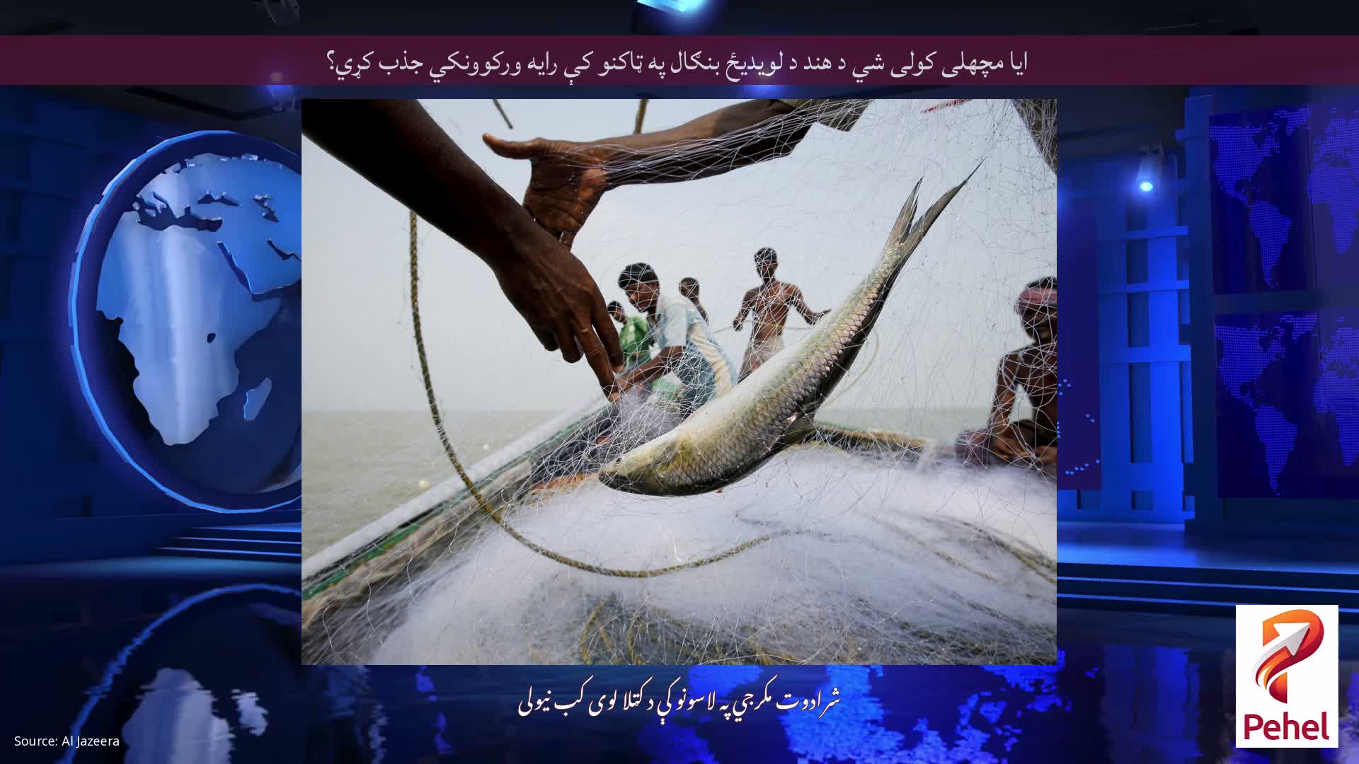 ایا مچھلی کولی شي د هند د لویدیځ بنګال په ټاکنو کې رایه ورکوونکي جذب کړي؟