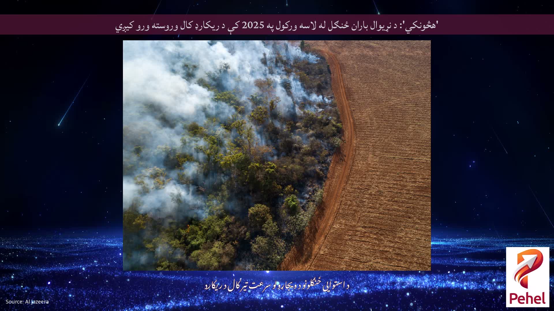 'هڅونکي': د نړیوال باران ځنګل له لاسه ورکول په 2025 کې د ریکارډ کال وروسته ورو کیږي