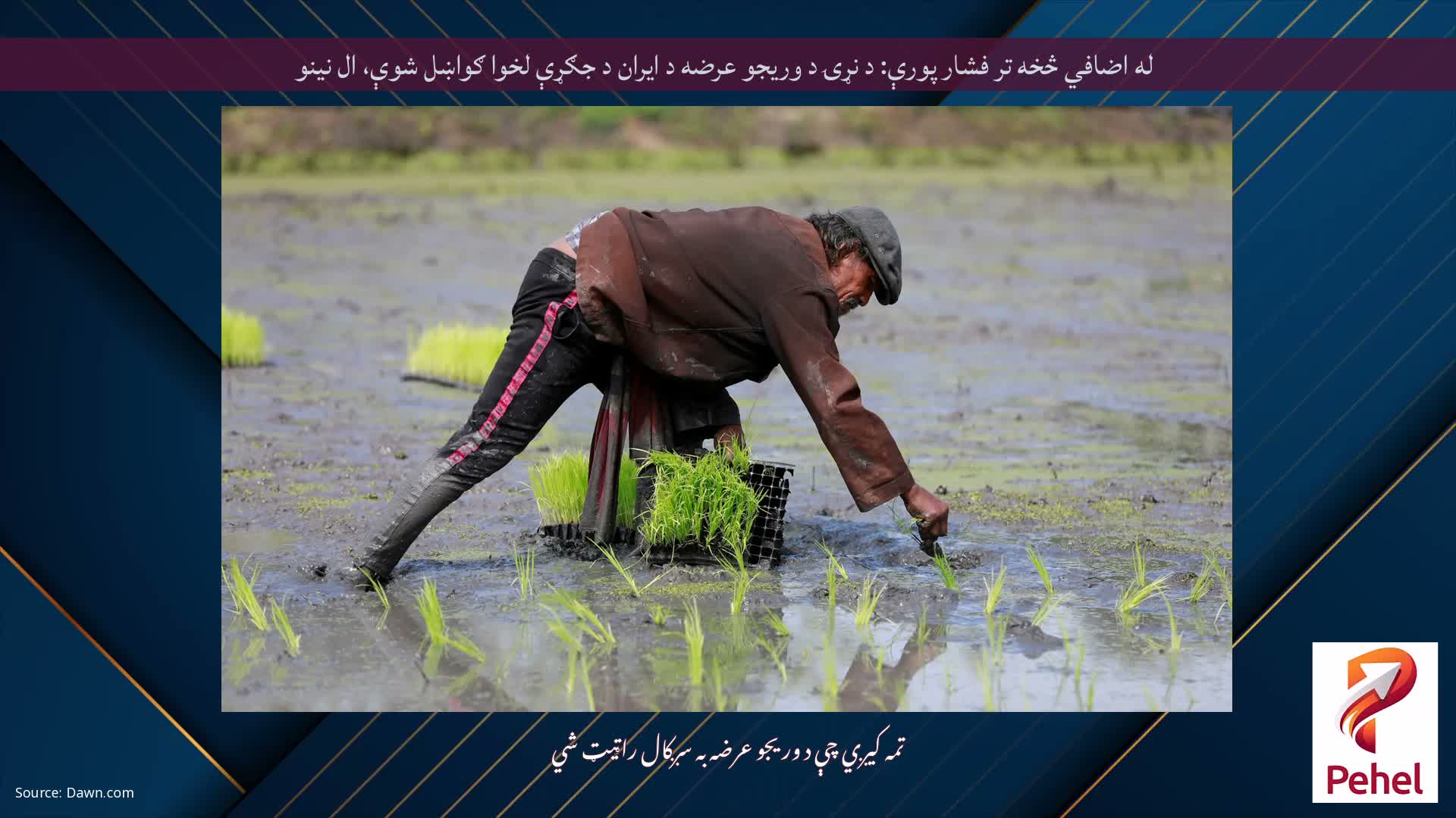 له اضافي څخه تر فشار پورې: د نړۍ د وریجو عرضه د ایران د جګړې لخوا ګواښل شوې، ال نینو