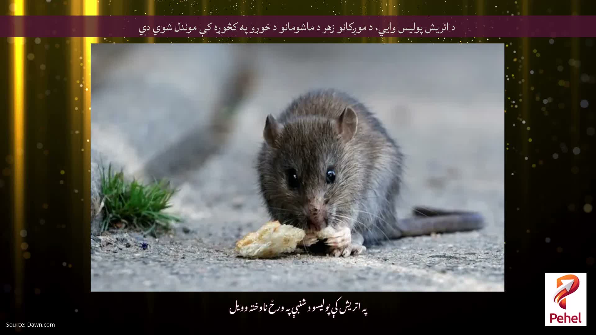 د اتریش پولیس وايي، د موږکانو زهر د ماشومانو د خوړو په کڅوړه کې موندل شوي دي