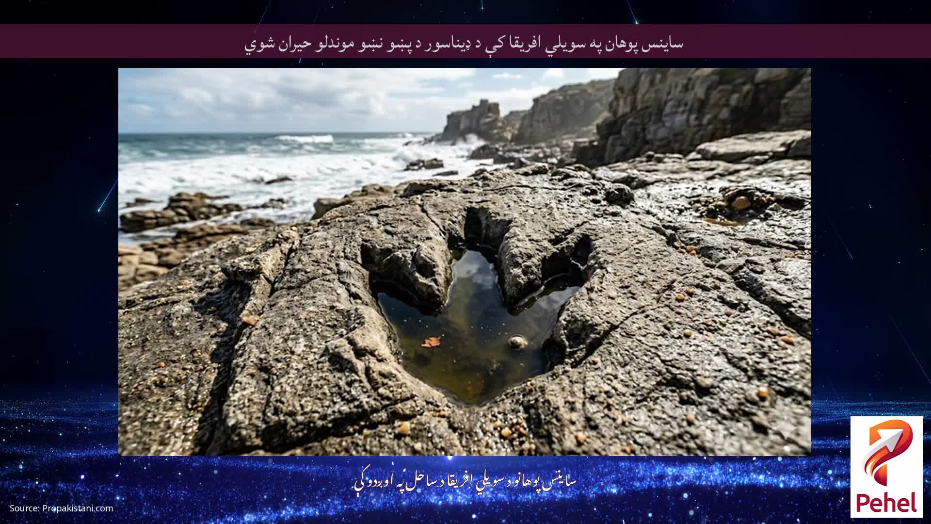 ساینس پوهان په سویلي افریقا کې د ډیناسور د پښو نښو موندلو حیران شوي