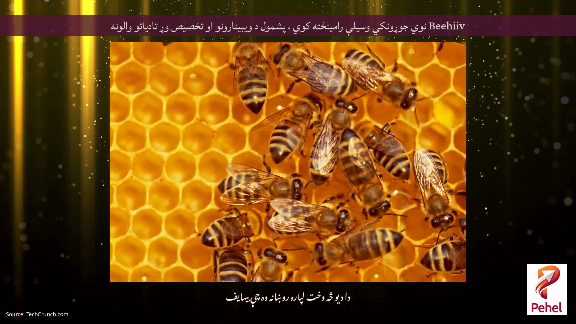 Beehiiv نوي جوړونکي وسیلې رامینځته کوي ، پشمول د ویبینارونو او تخصیص وړ تادیاتو والونه