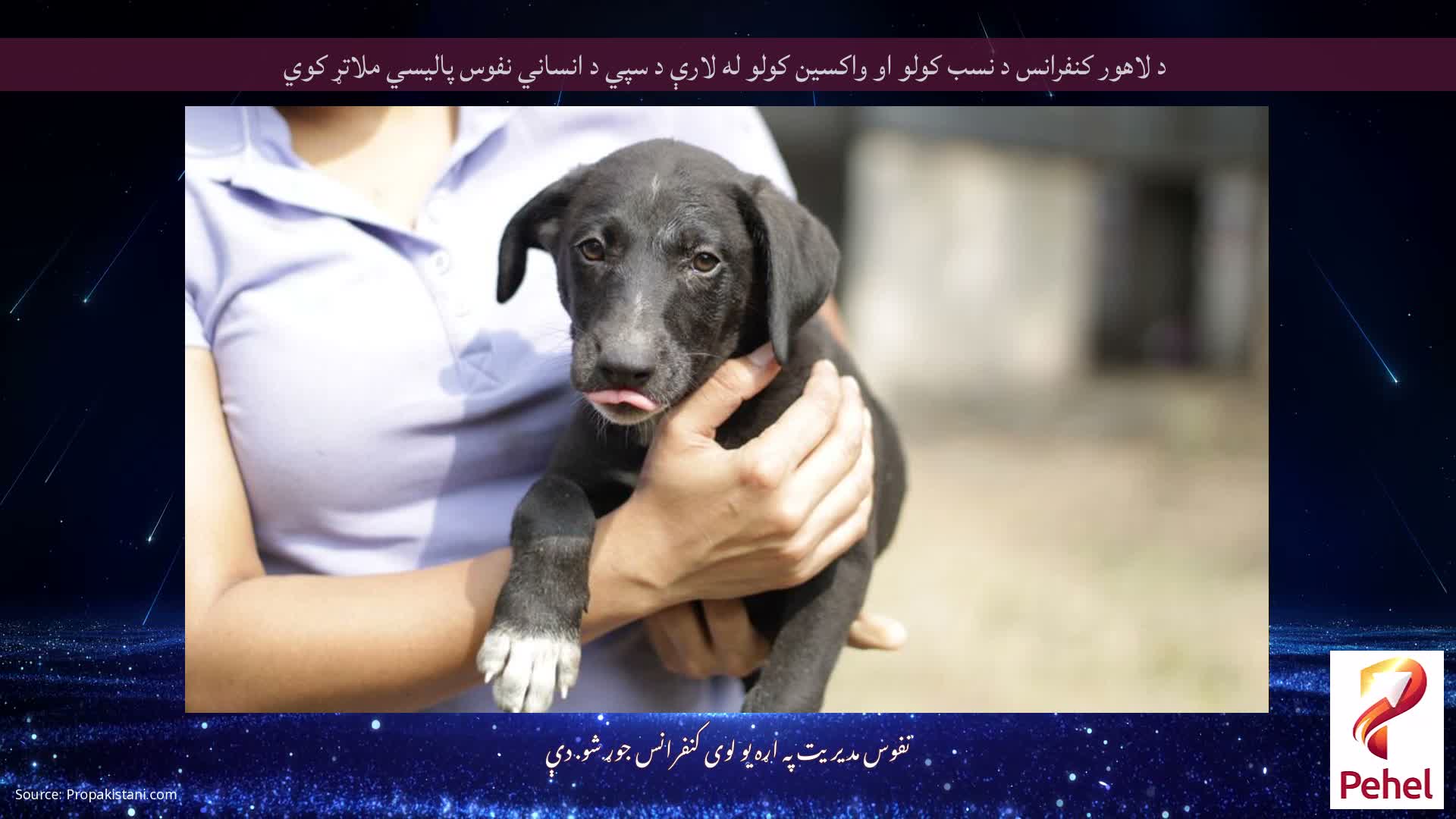 د لاهور کنفرانس د نسب کولو او واکسین کولو له لارې د سپي د انساني نفوس پالیسي ملاتړ کوي