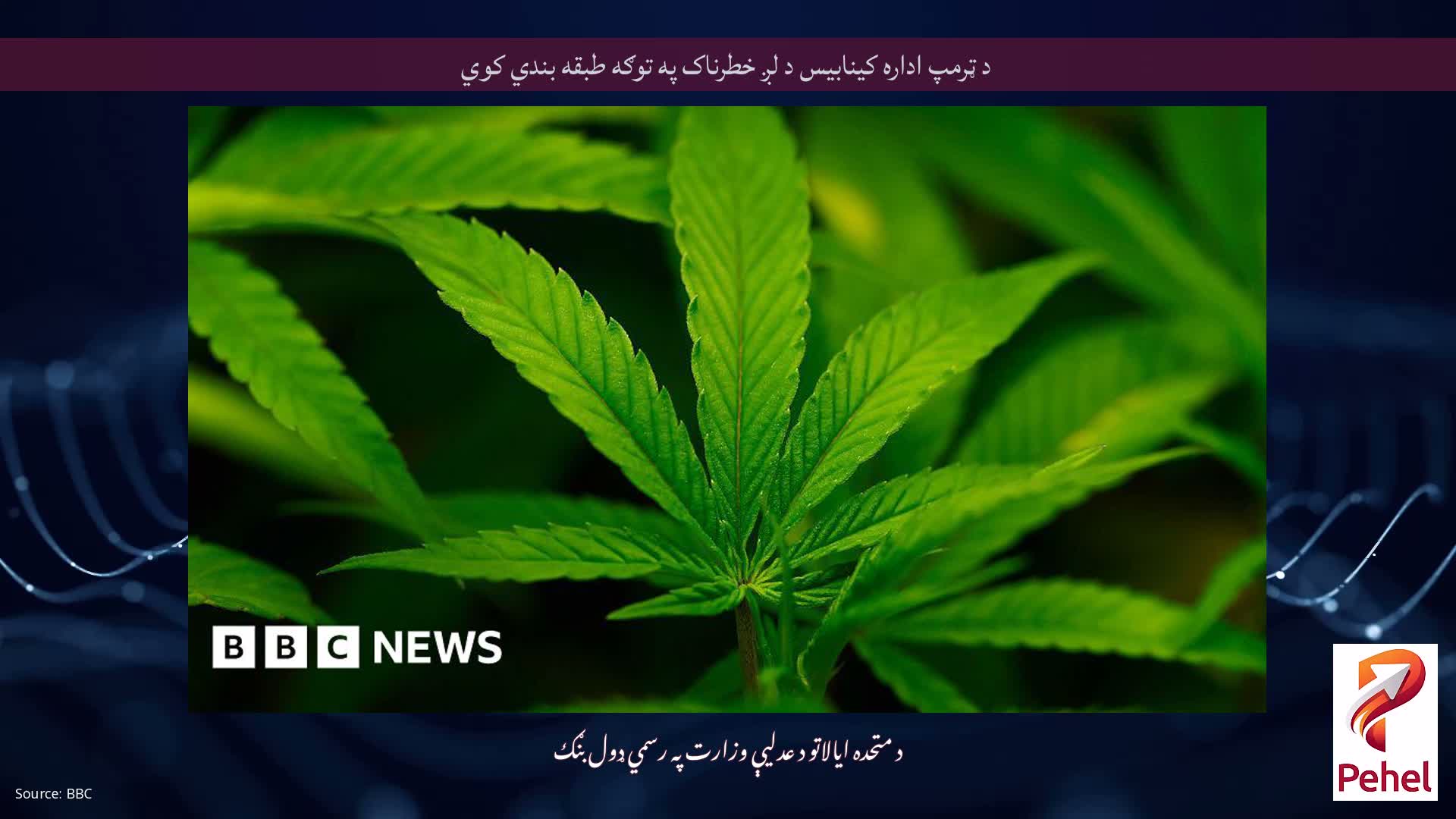 د ټرمپ اداره کینابیس د لږ خطرناک په توګه طبقه بندي کوي