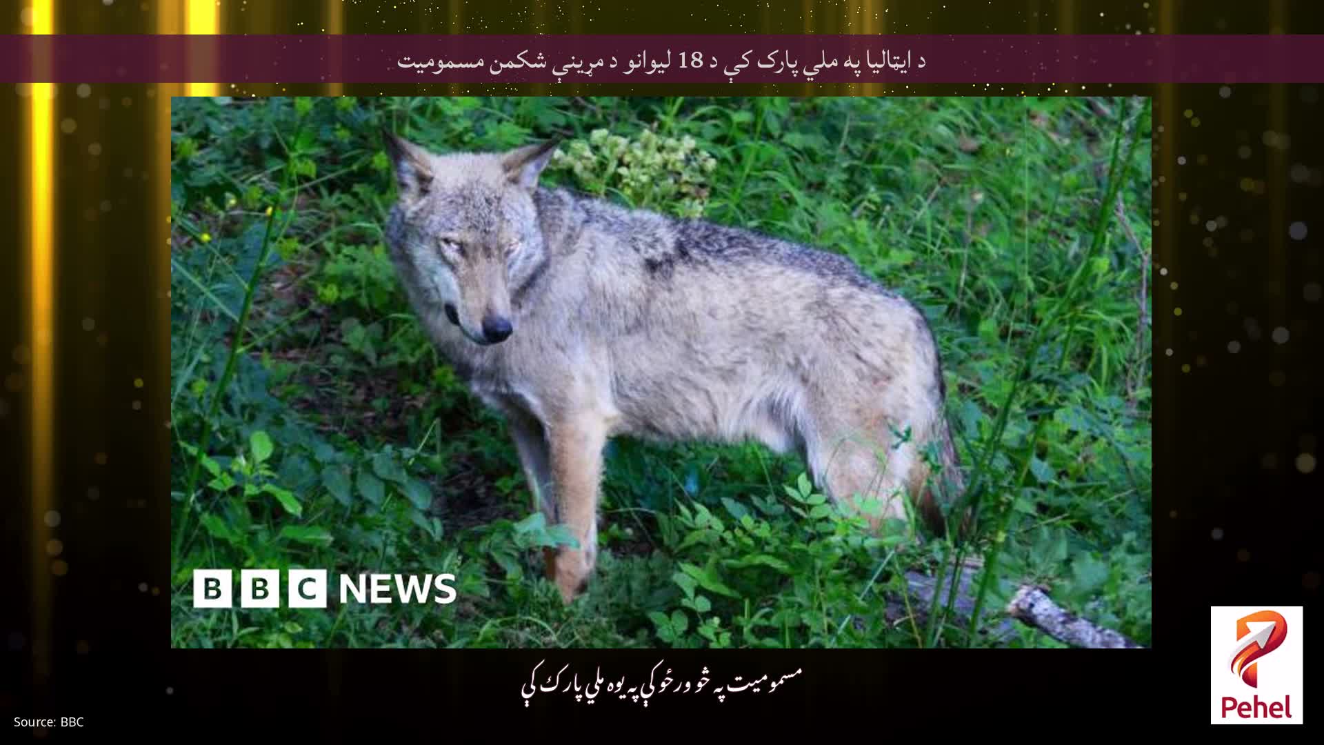 د ایټالیا په ملي پارک کې د 18 لیوانو د مړینې شکمن مسمومیت