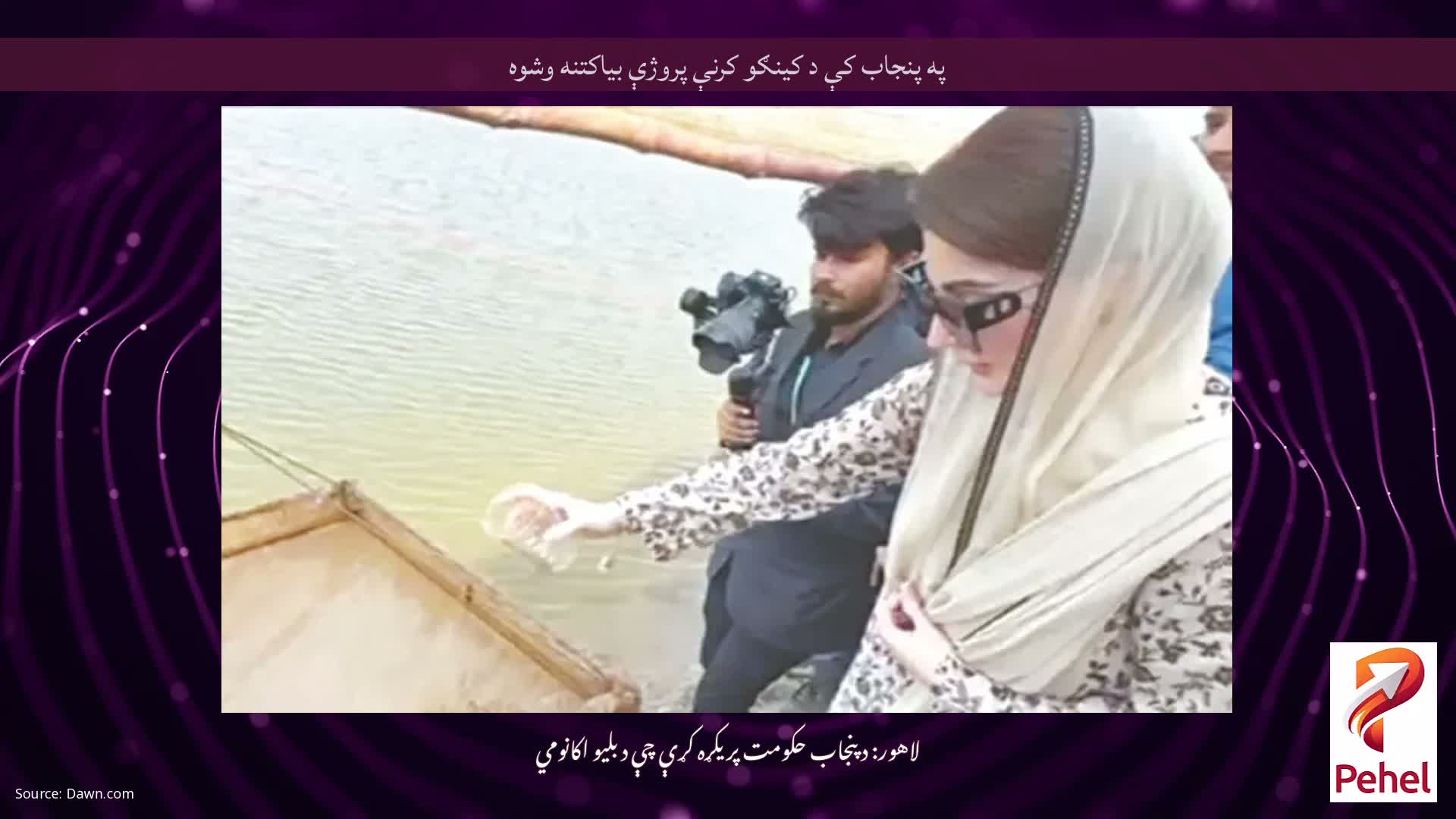 په پنجاب کې د کینګو کرنې پروژې بیاکتنه وشوه