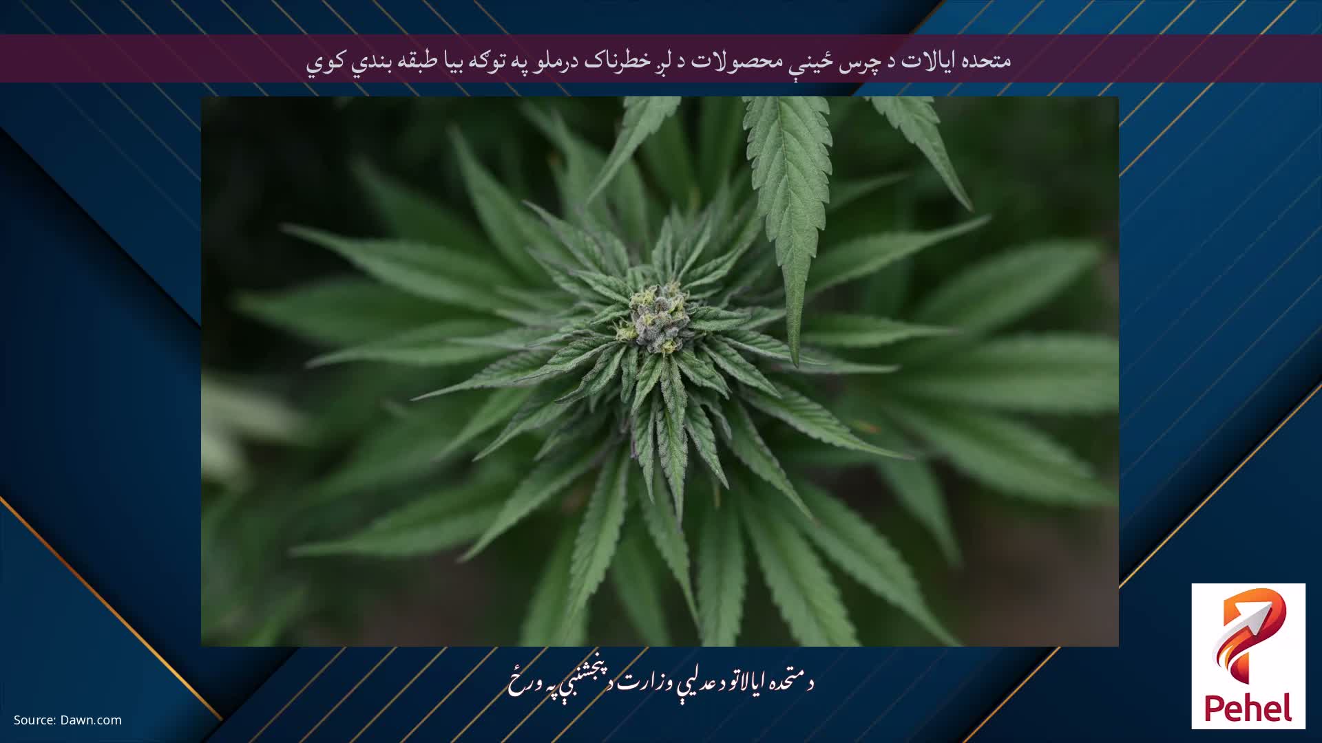 متحده ایالات د چرس ځینې محصولات د لږ خطرناک درملو په توګه بیا طبقه بندي کوي