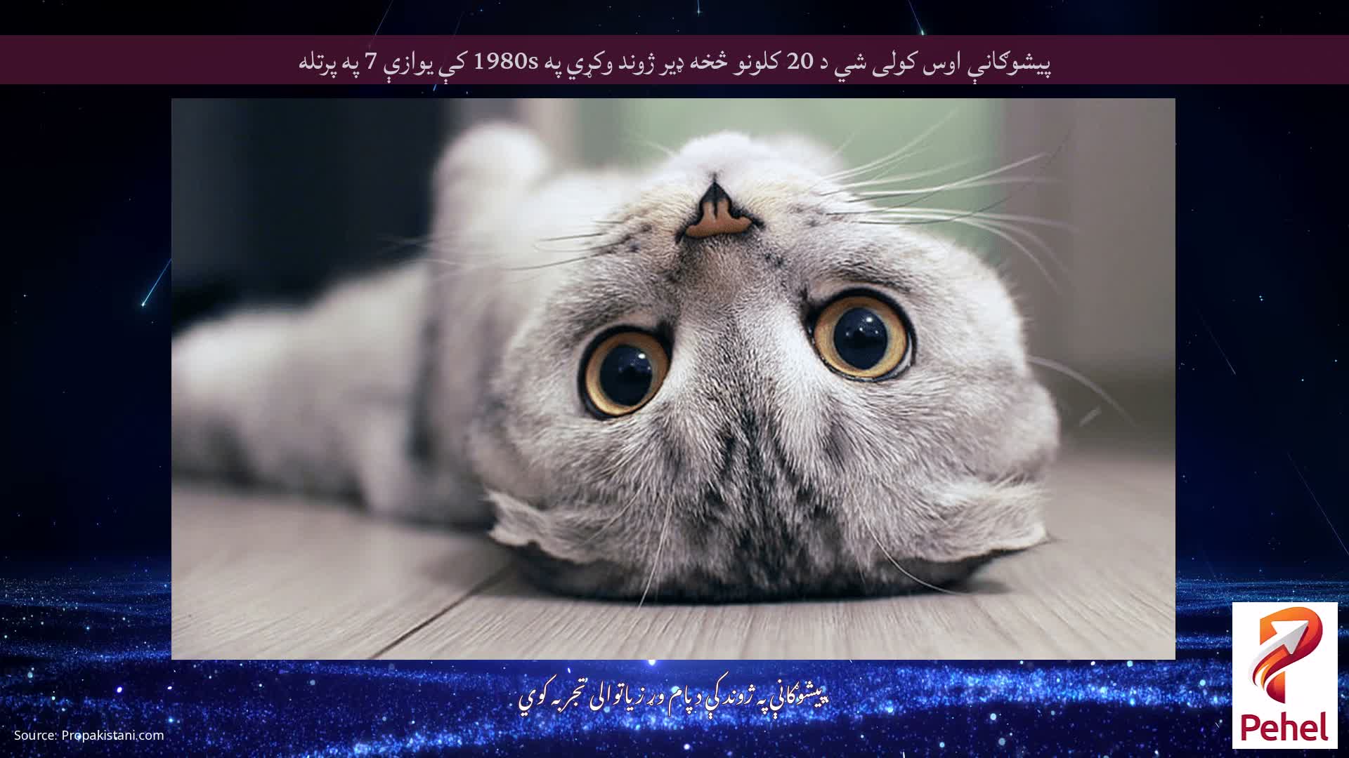 پیشوګانې اوس کولی شي د 20 کلونو څخه ډیر ژوند وکړي په 1980s کې یوازې 7 په پرتله