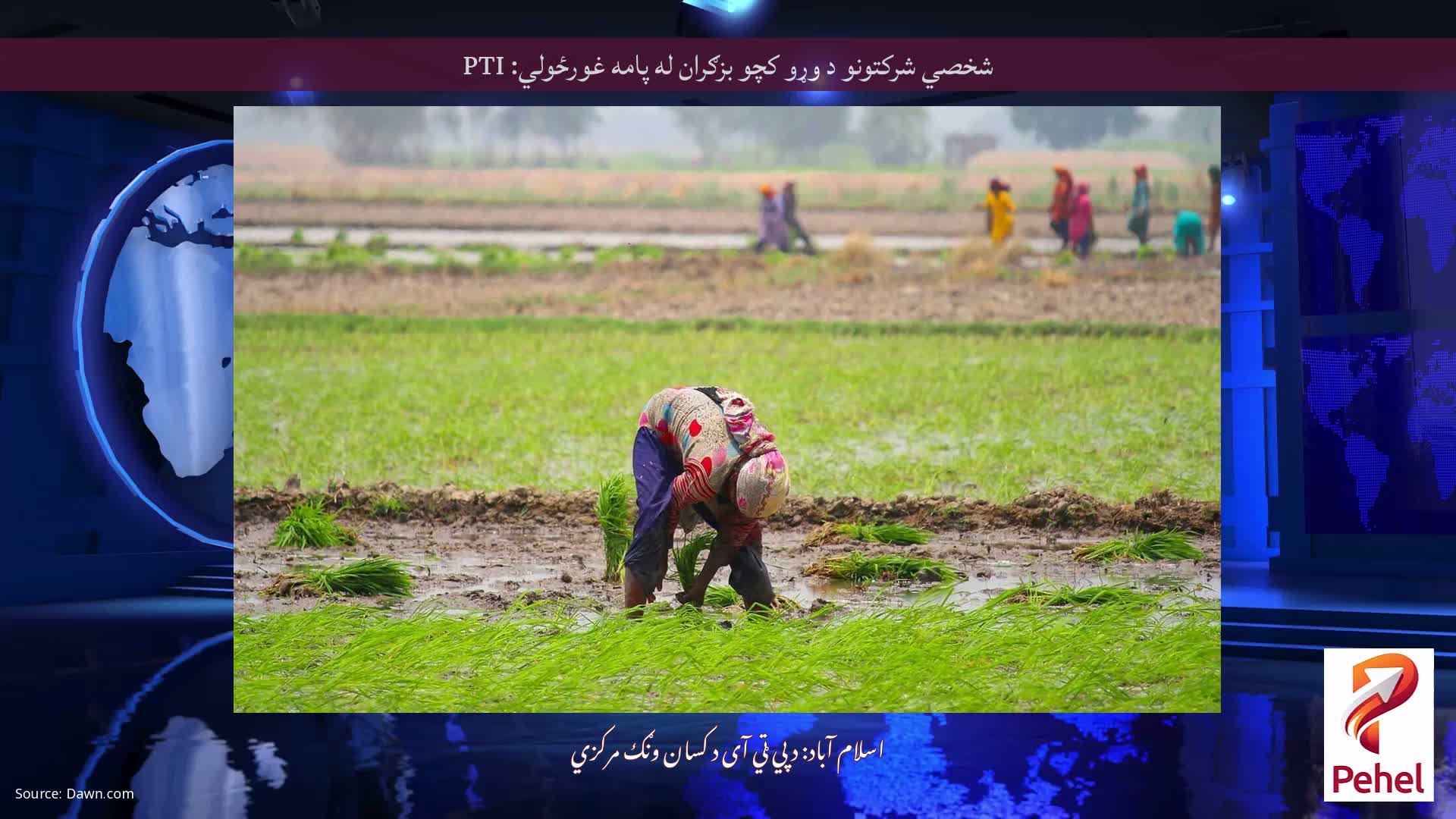 شخصي شرکتونو د وړو کچو بزګران له پامه غورځولي: PTI