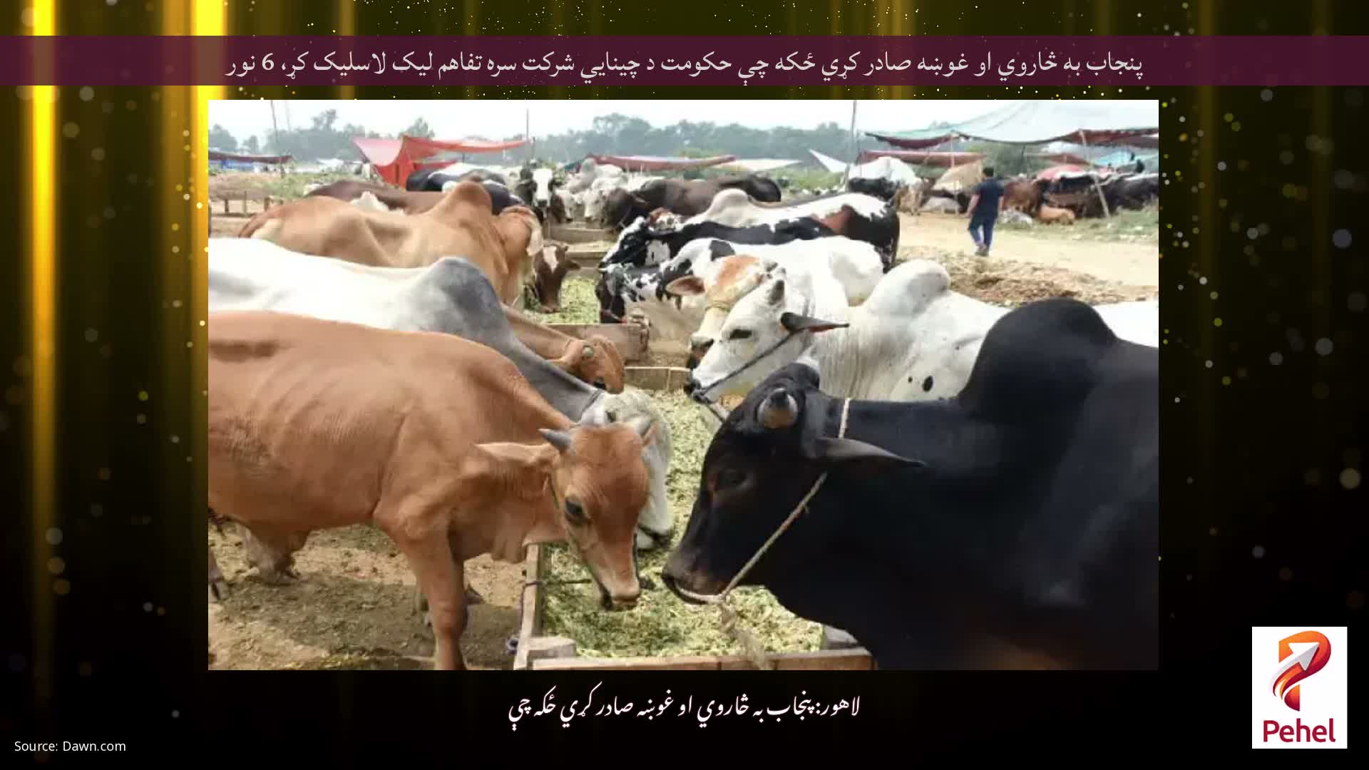 پنجاب به څاروي او غوښه صادر کړي ځکه چې حکومت د چینایي شرکت سره تفاهم لیک لاسلیک کړ، 6 نور