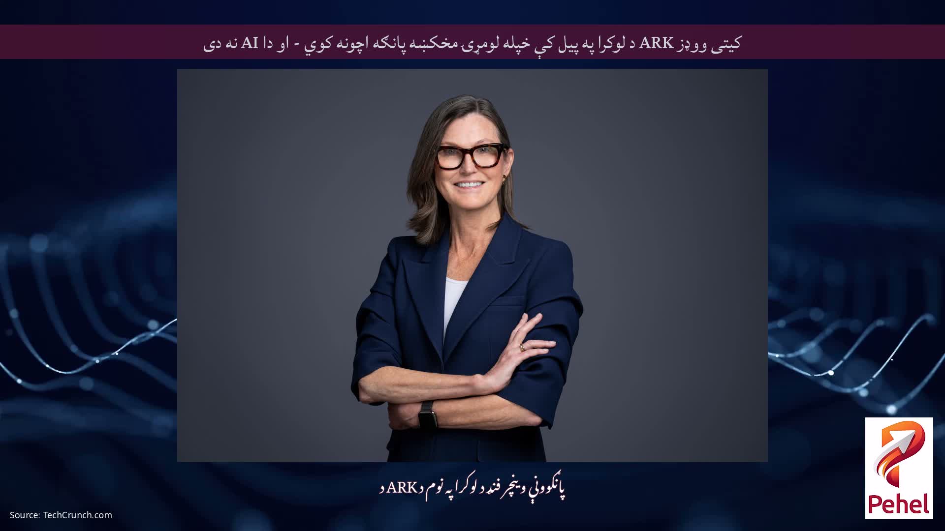 کیتی ووډز ARK د لوکرا په پیل کې خپله لومړۍ مخکښه پانګه اچونه کوي - او دا AI نه دی