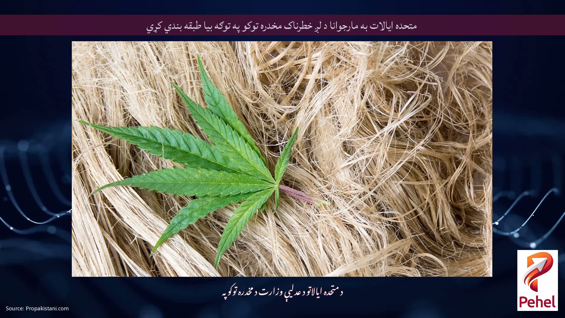 متحده ایالات به مارجوانا د لږ خطرناک مخدره توکو په توګه بیا طبقه بندي کړي