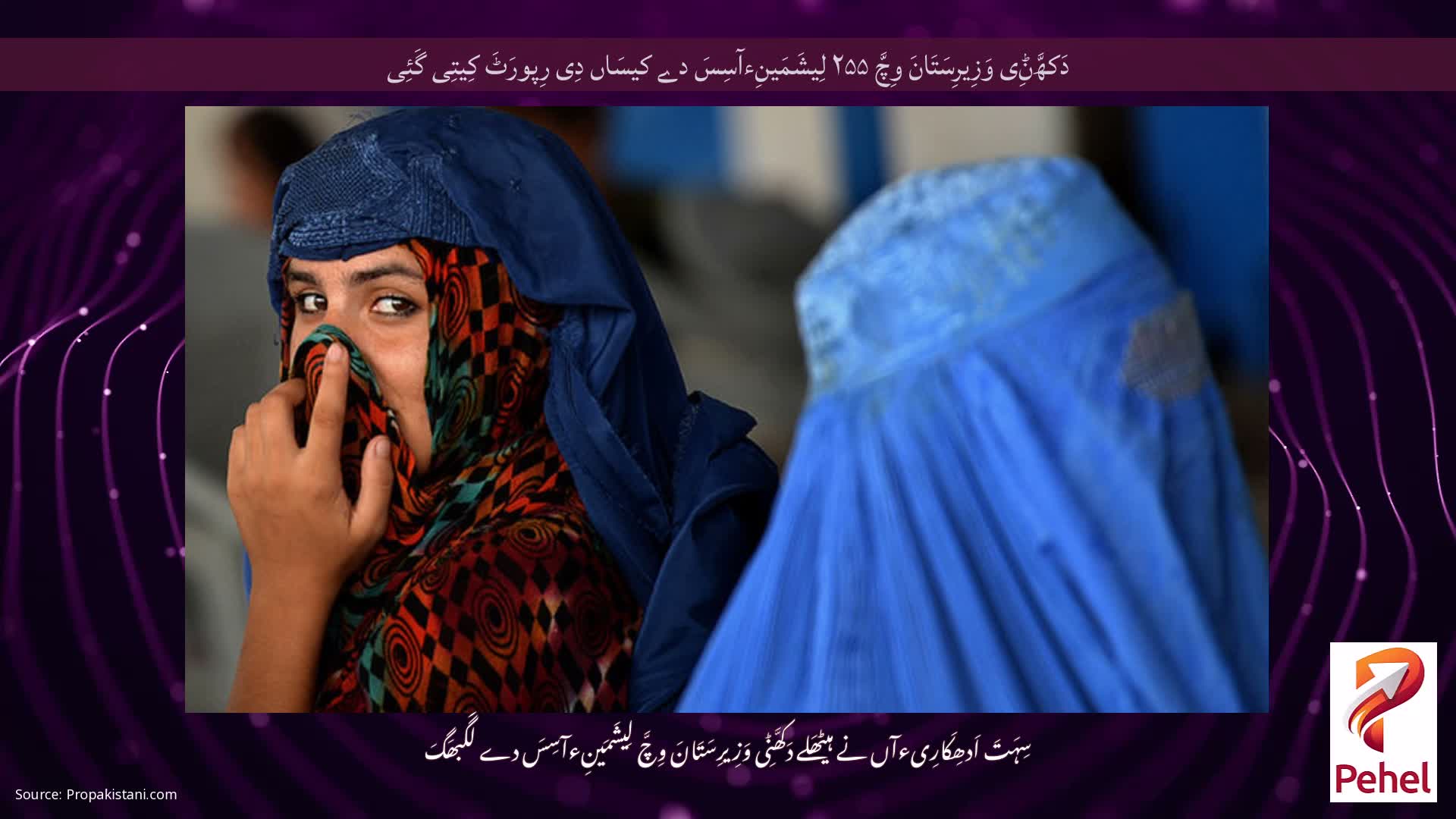 دَکھَّݨِی وَزِیرِسَتَانَ وِچَّ ۲۵۵ لِیشَمَینِءآسِسَ دے کیسَاں دِی رِپورَٹَ کِیتِی گَئِی