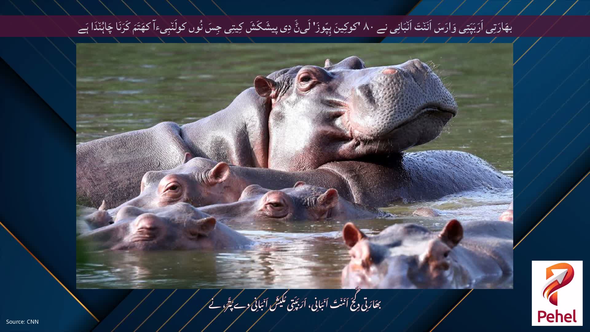 بھَارَتِی اَرَبَپَتِی وَارَسَ اَنَن٘تَ اَن٘بَانِی نے ۸۰ 'کوکِینَ ہِپّوزَ' لَیݨَ دِی پیشَکَشَ کِیتِی جِسَ نُوں کولَن٘بِیءآ کھَتَمَ کَرَنَا چَاہُن٘دَا ہَے