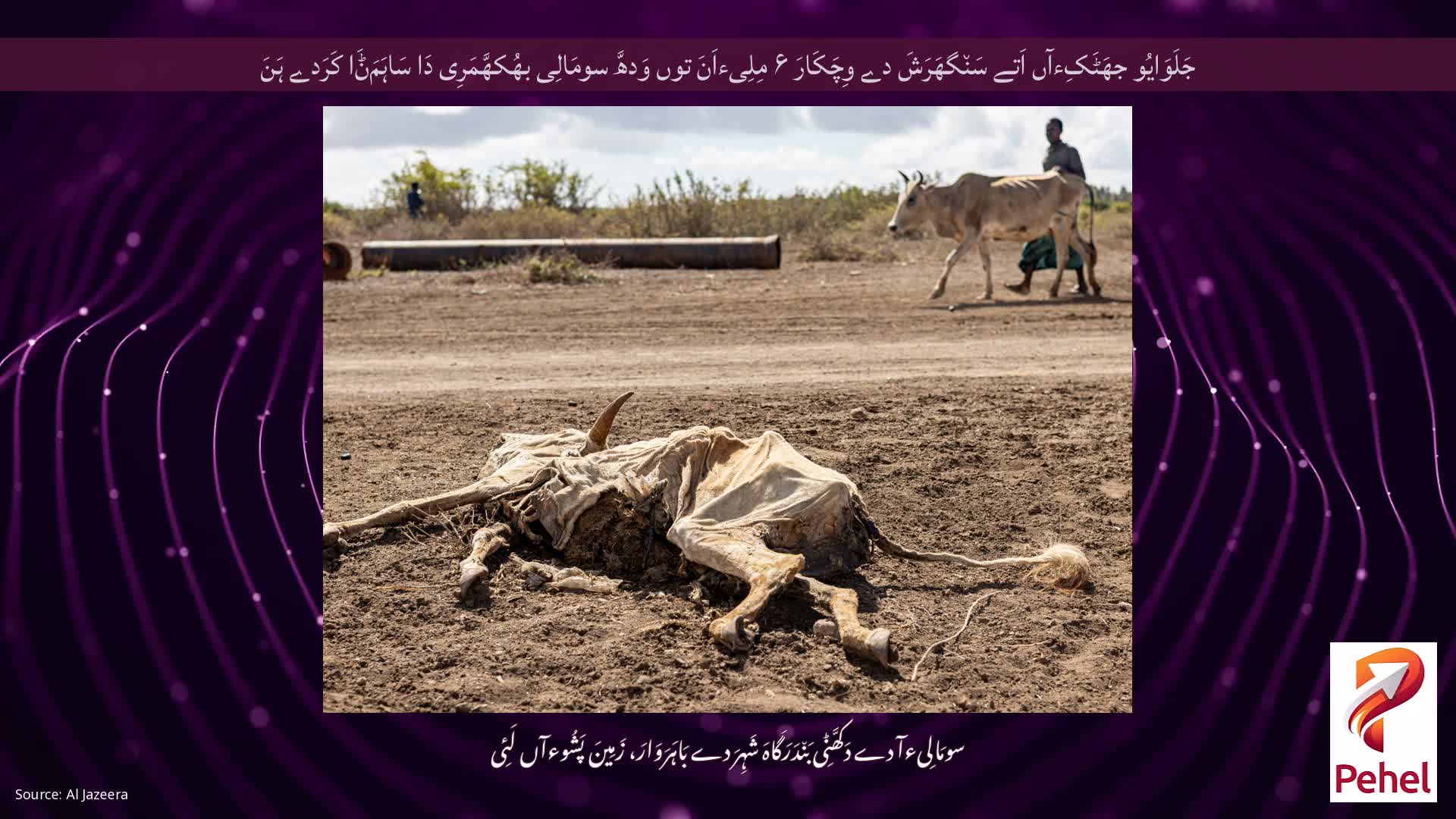 جَلَوَایُو جھَٹَکِءآں اَتے سَن٘گھَرَشَ دے وِچَکَارَ ۶ مِلِیءاَنَ توں وَدھَّ سومَالِی بھُکھَّمَرِی دَا سَاہَمَݨَا کَرَدے ہَنَ