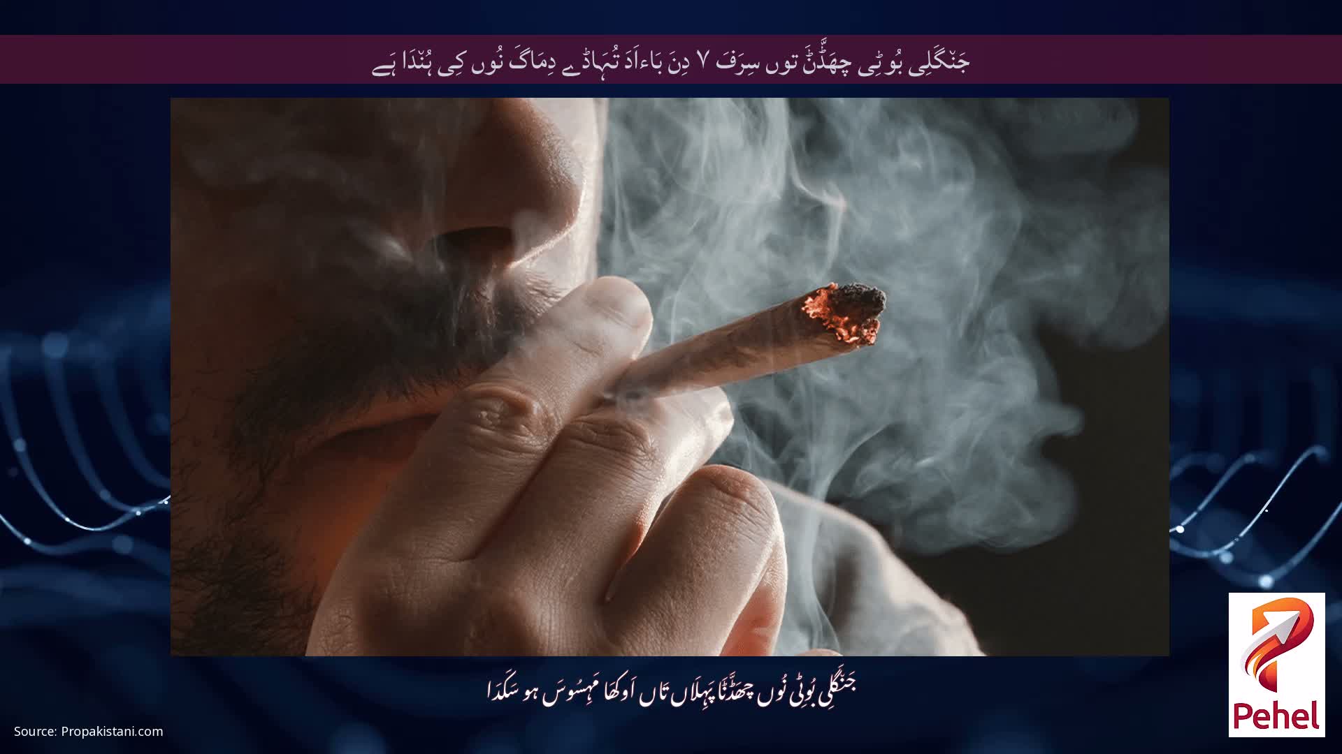 جَن٘گَلِی بُوٹِی چھَڈَّݨَ توں سِرَفَ ۷ دِنَ بَاءاَدَ تُہَاڈے دِمَاگَ نُوں کِی ہُن٘دَا ہَے