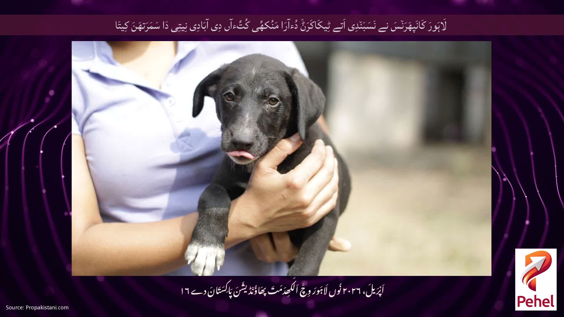 لَاہَورَ کَانَپھَرَن٘سَ نے نَسَبَن٘دِی اَتے ٹِیکَاکَرَݨَ دُءآرَا مَنُکھِّی کُتِّءآں دِی آبَادِی نِیتِی دَا سَمَرَتھَنَ کِیتَا