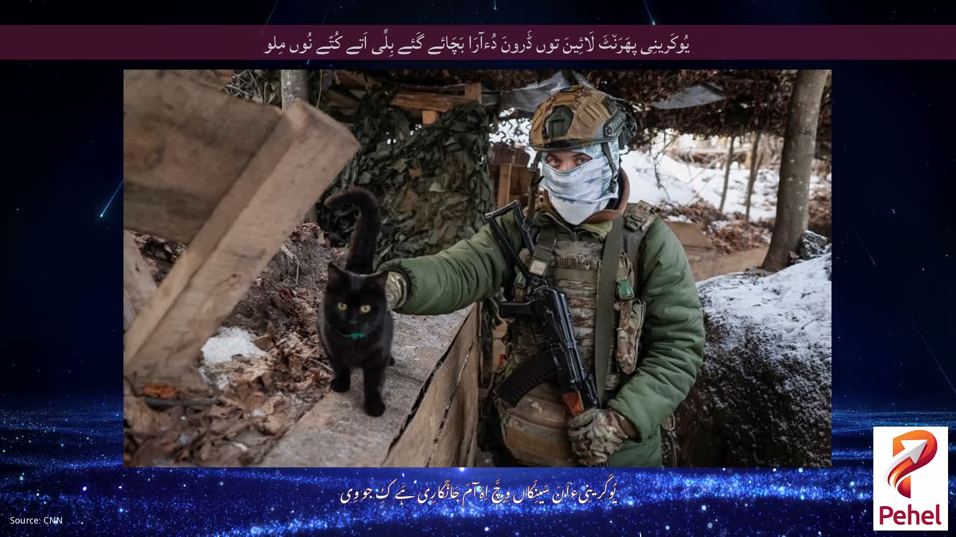 یُوکَرینِی پھَرَن٘ٹَ لَائِینَ توں ڈَرونَ دُءآرَا بَچَائے گَئے بِلِّی اَتے کُتّے نُوں مِلو