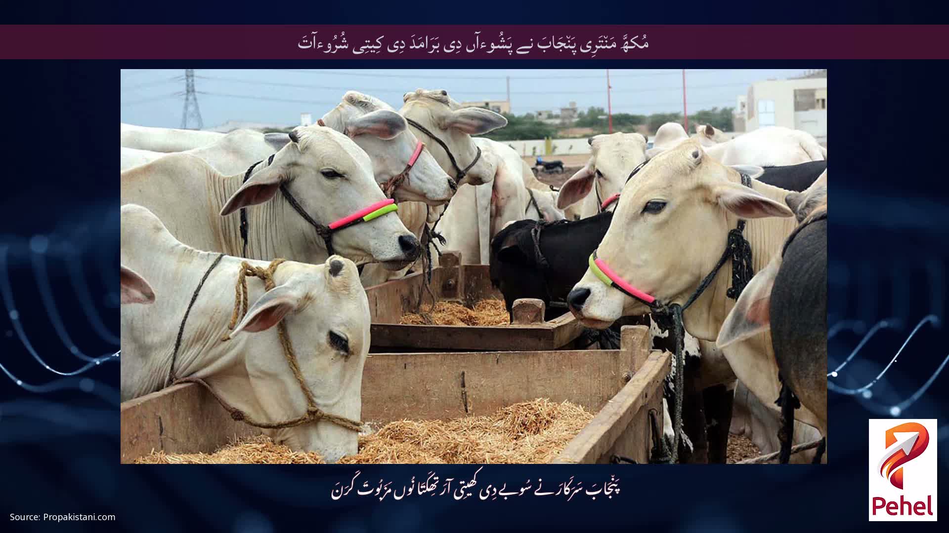 مُکھَّ مَن٘تَرِی پَن٘جَابَ نے پَشُوءآں دِی بَرَامَدَ دِی کِیتِی شُرُوءآتَ