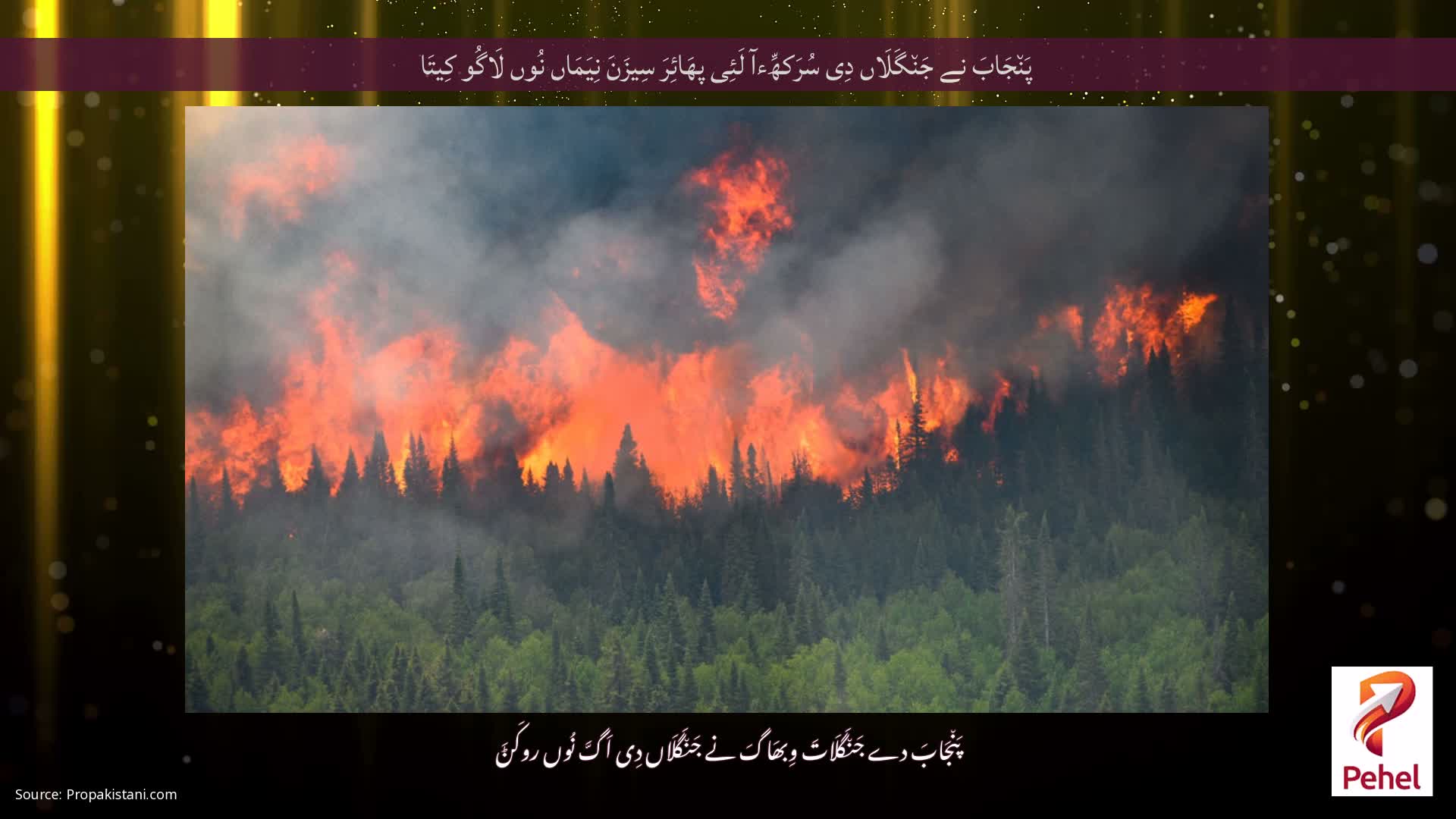 پَن٘جَابَ نے جَن٘گَلَاں دِی سُرَکھِّءآ لَئِی پھَائِرَ سِیزَنَ نِیَمَاں نُوں لَاگُو کِیتَا