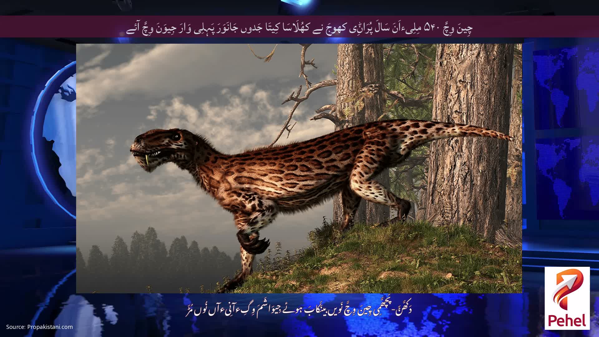 چِینَ وِچَّ ۵۴۰ مِلِیءاَنَ سَالَ پُرَاݨِی کھوجَ نے کھُلَاسَا کِیتَا جَدوں جَانَوَرَ پَہِلِی وَارَ جِیوَنَ وِچَّ آئے