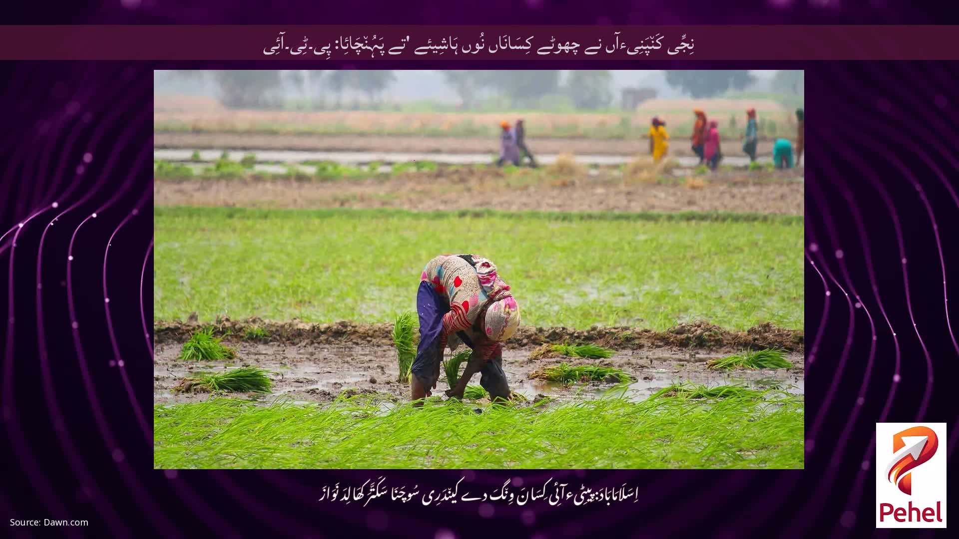 نِجِّی کَن٘پَنِیءآں نے چھوٹے کِسَانَاں نُوں ہَاشِیئے 'تے پَہُن٘چَائِا: پِی۔ٹِی۔آئِی