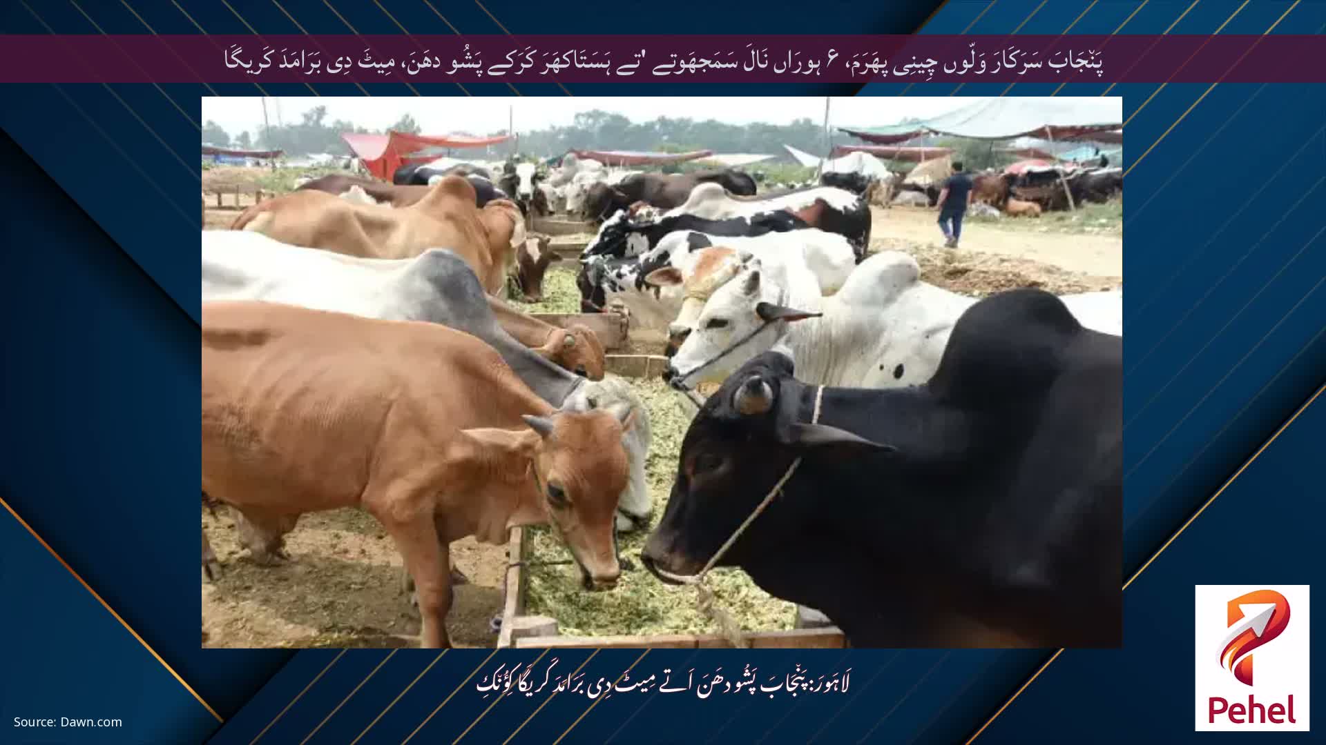 پَن٘جَابَ سَرَکَارَ وَلّوں چِینِی پھَرَمَ، ۶ ہورَاں نَالَ سَمَجھَوتے 'تے ہَسَتَاکھَرَ کَرَکے پَشُو دھَنَ، مِیٹَ دِی بَرَامَدَ کَریگَا