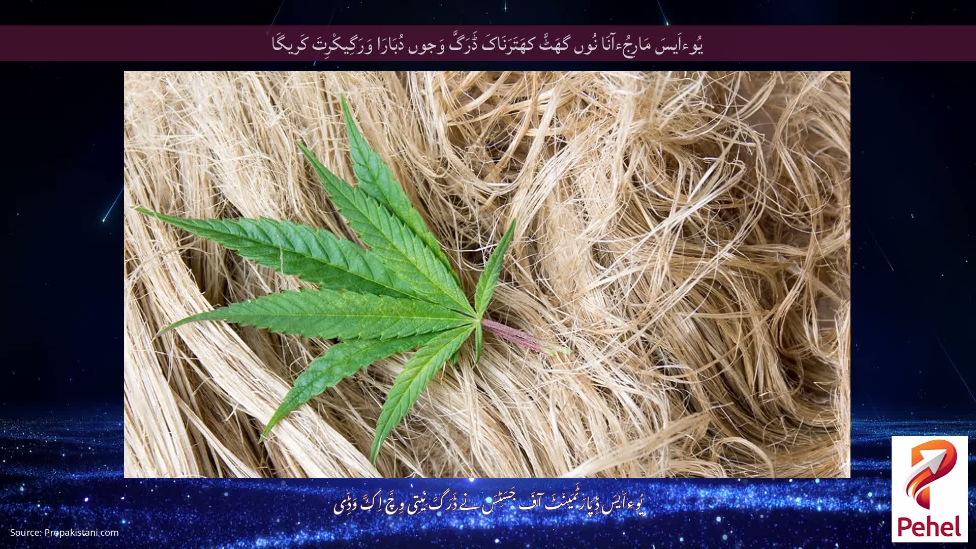 یُوءاَیسَ مَارِجُءآنَا نُوں گھَٹَّ کھَتَرَنَاکَ ڈَرَگَّ وَجوں دُبَارَا وَرَگِیکْرِتَ کَریگَا