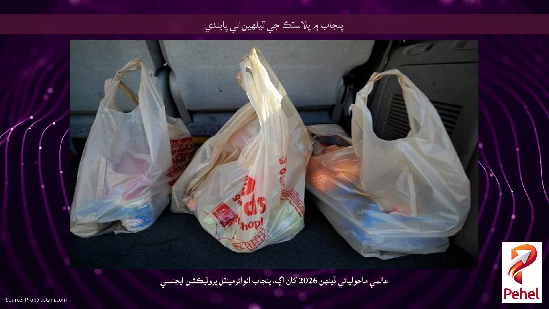 پنجاب ۾ پلاسٽڪ جي ٿيلهين تي پابندي