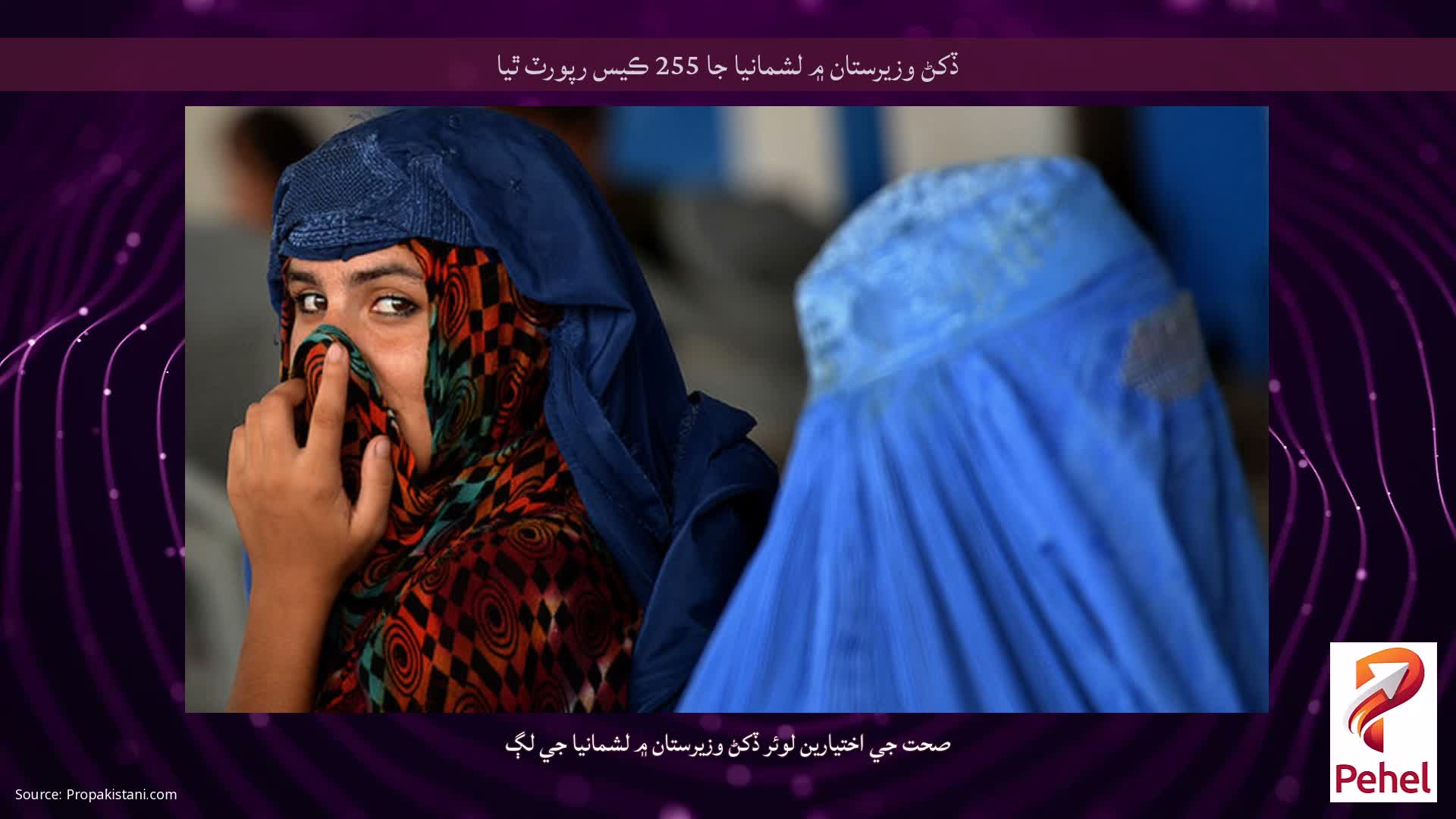 ڏکڻ وزيرستان ۾ لشمانيا جا 255 ڪيس رپورٽ ٿيا