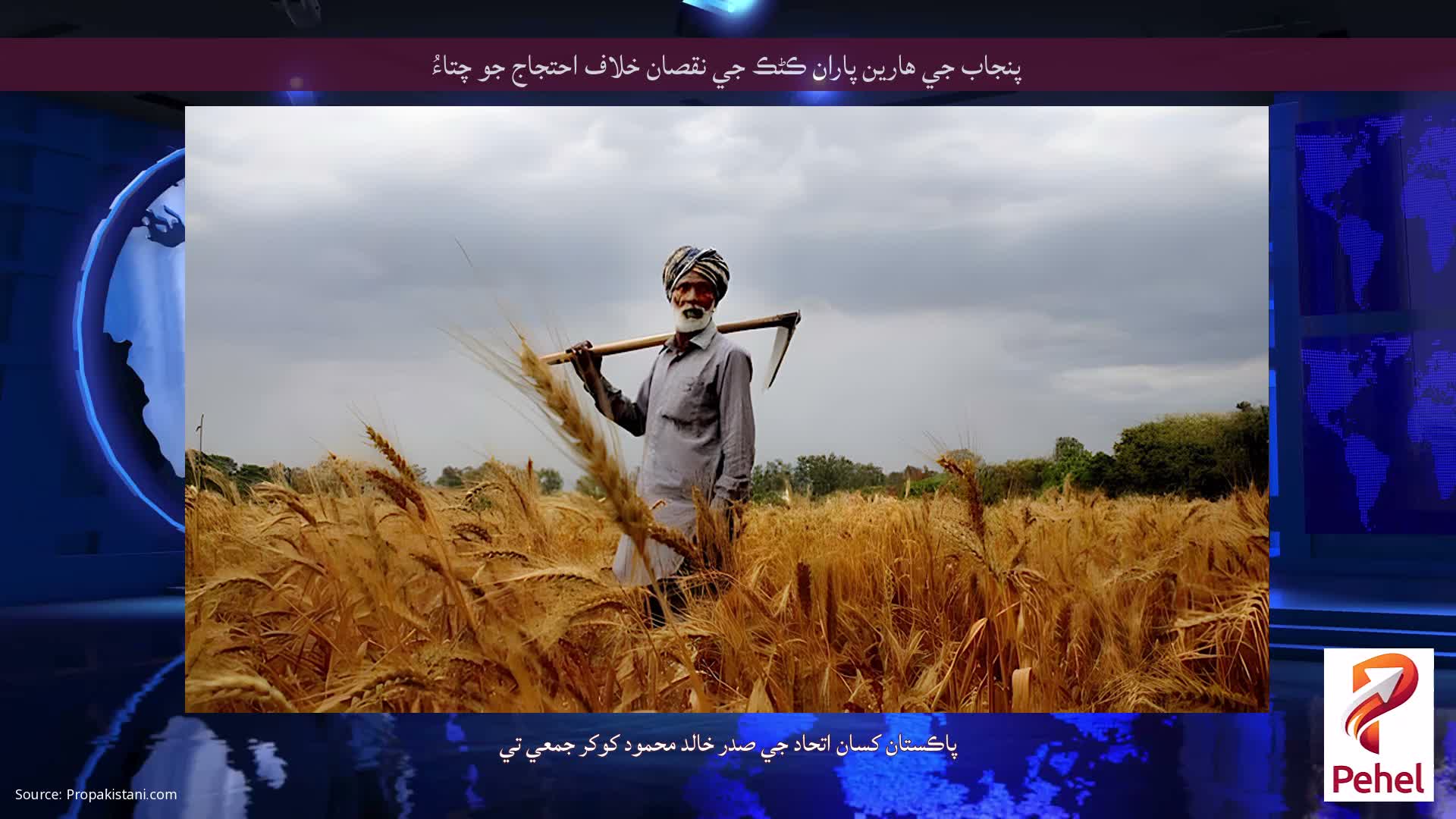 پنجاب جي هارين پاران ڪڻڪ جي نقصان خلاف احتجاج جو چتاءُ