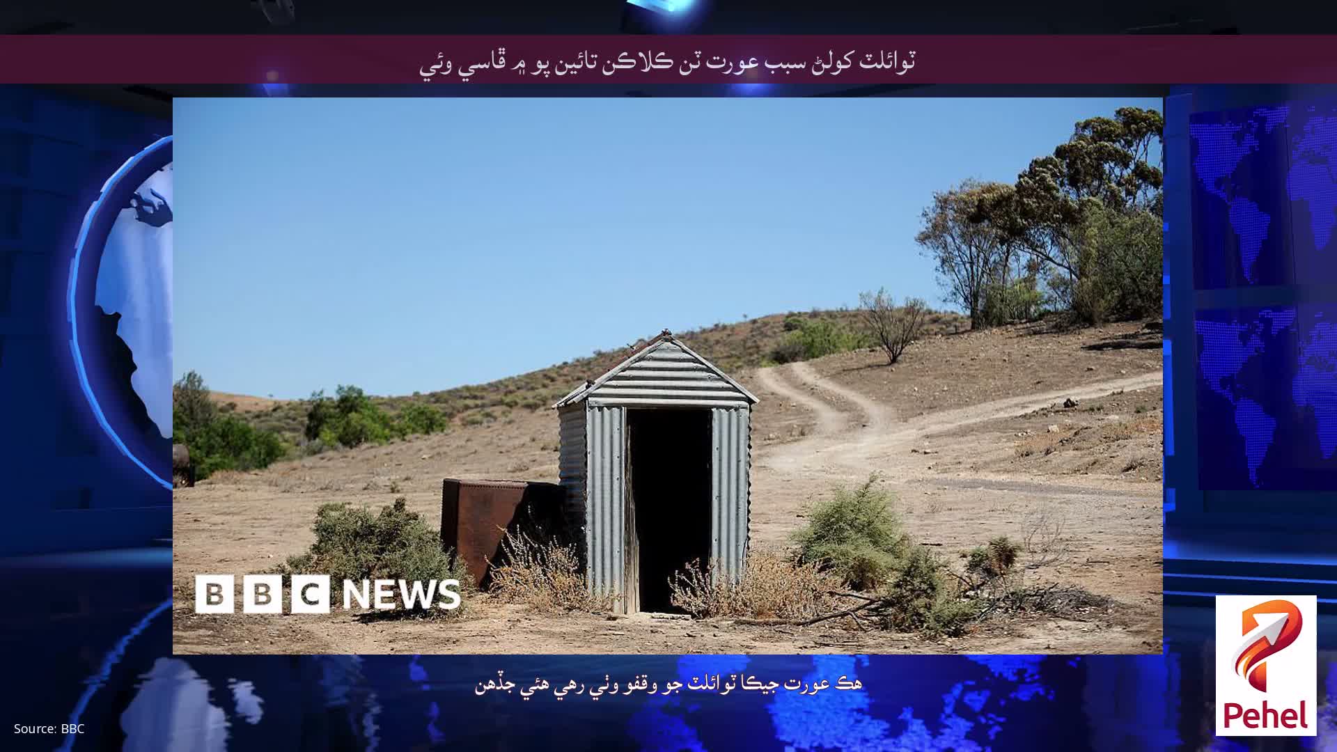 ٽوائلٽ کولڻ سبب عورت ٽن ڪلاڪن تائين پو ۾ ڦاسي وئي