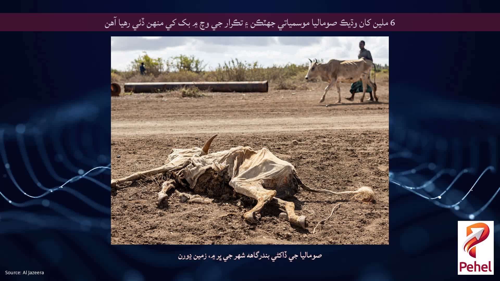 6 ملين کان وڌيڪ صوماليا موسمياتي جھٽڪن ۽ ​​تڪرار جي وچ ۾ بک کي منهن ڏئي رهيا آهن