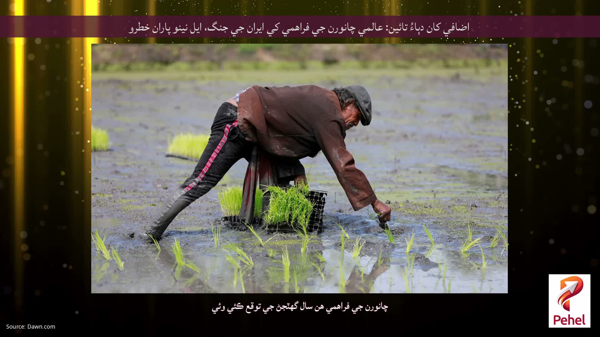 اضافي کان دٻاءُ تائين: عالمي چانورن جي فراهمي کي ايران جي جنگ، ايل نينو پاران خطرو