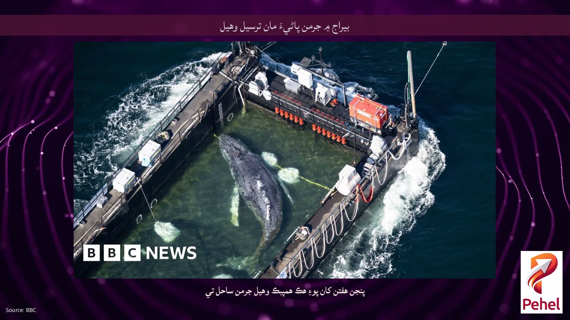 بيراج ۾ جرمن پاڻيءَ مان ترسيل وهيل