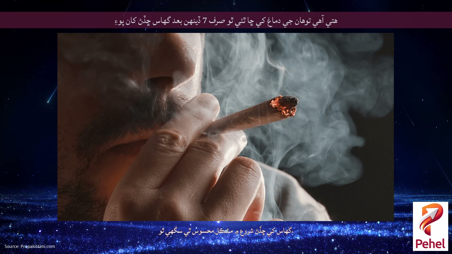 ھتي آھي توھان جي دماغ کي ڇا ٿئي ٿو صرف 7 ڏينھن بعد گھاس ڇڏڻ کان پوءِ