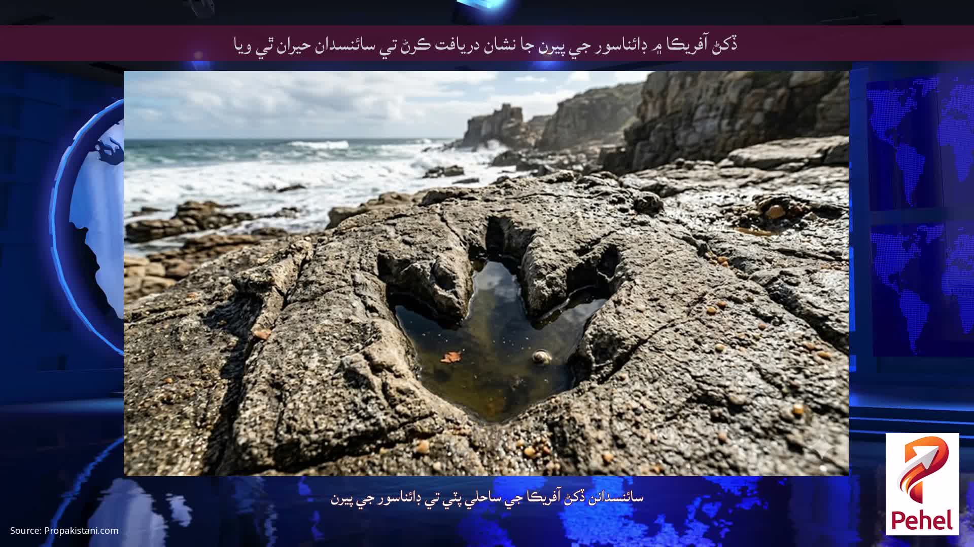 ڏکڻ آفريڪا ۾ ڊائناسور جي پيرن جا نشان دريافت ڪرڻ تي سائنسدان حيران ٿي ويا