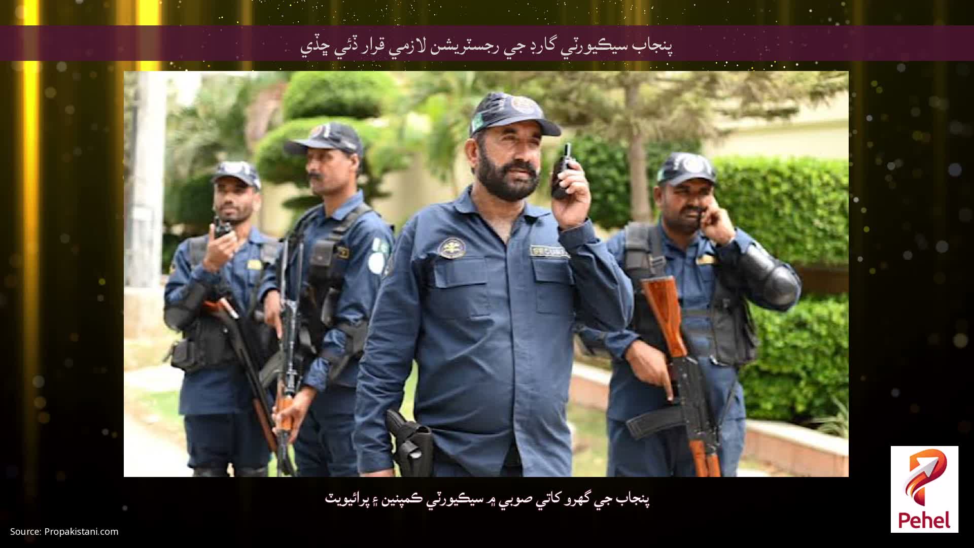 پنجاب سيڪيورٽي گارڊ جي رجسٽريشن لازمي قرار ڏئي ڇڏي