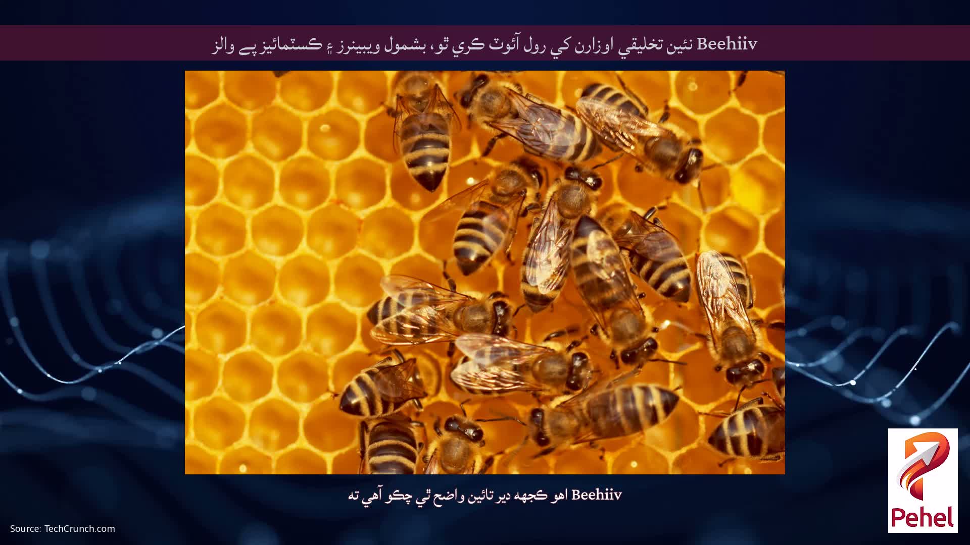 Beehiiv نئين تخليقي اوزارن کي رول آئوٽ ڪري ٿو، بشمول ويبينرز ۽ ڪسٽمائيز پے والز