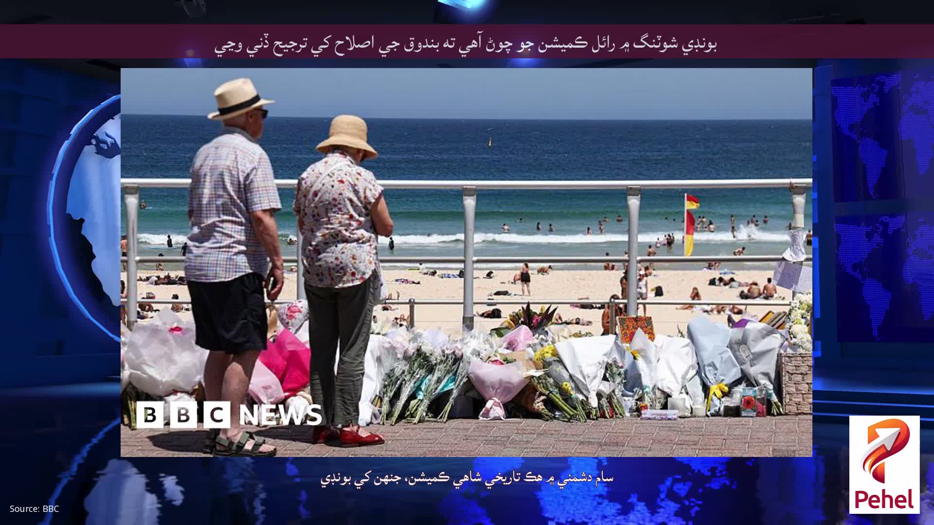 بونڊي شوٽنگ ۾ رائل ڪميشن جو چوڻ آهي ته بندوق جي اصلاح کي ترجيح ڏني وڃي