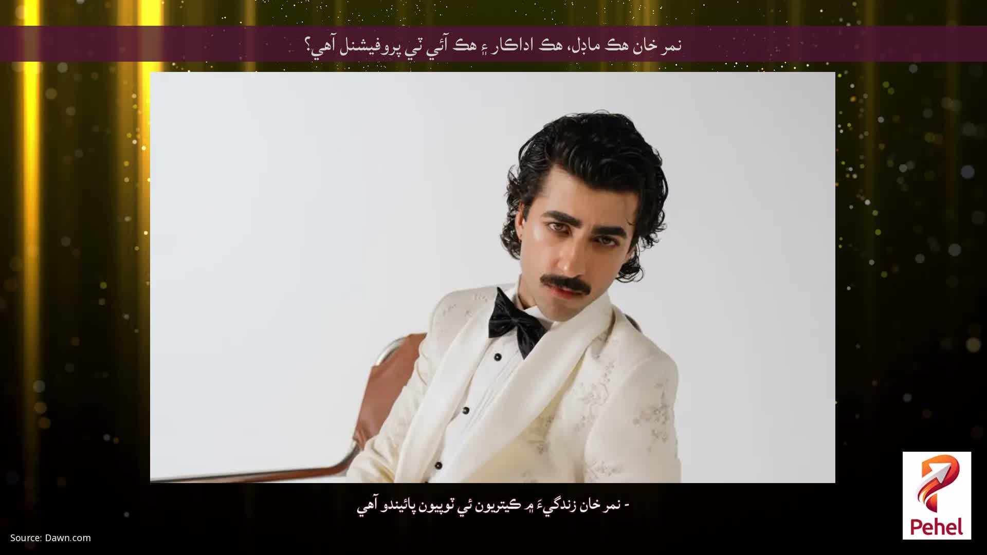 نمر خان هڪ ماڊل، هڪ اداڪار ۽ هڪ آئي ٽي پروفيشنل آهي؟