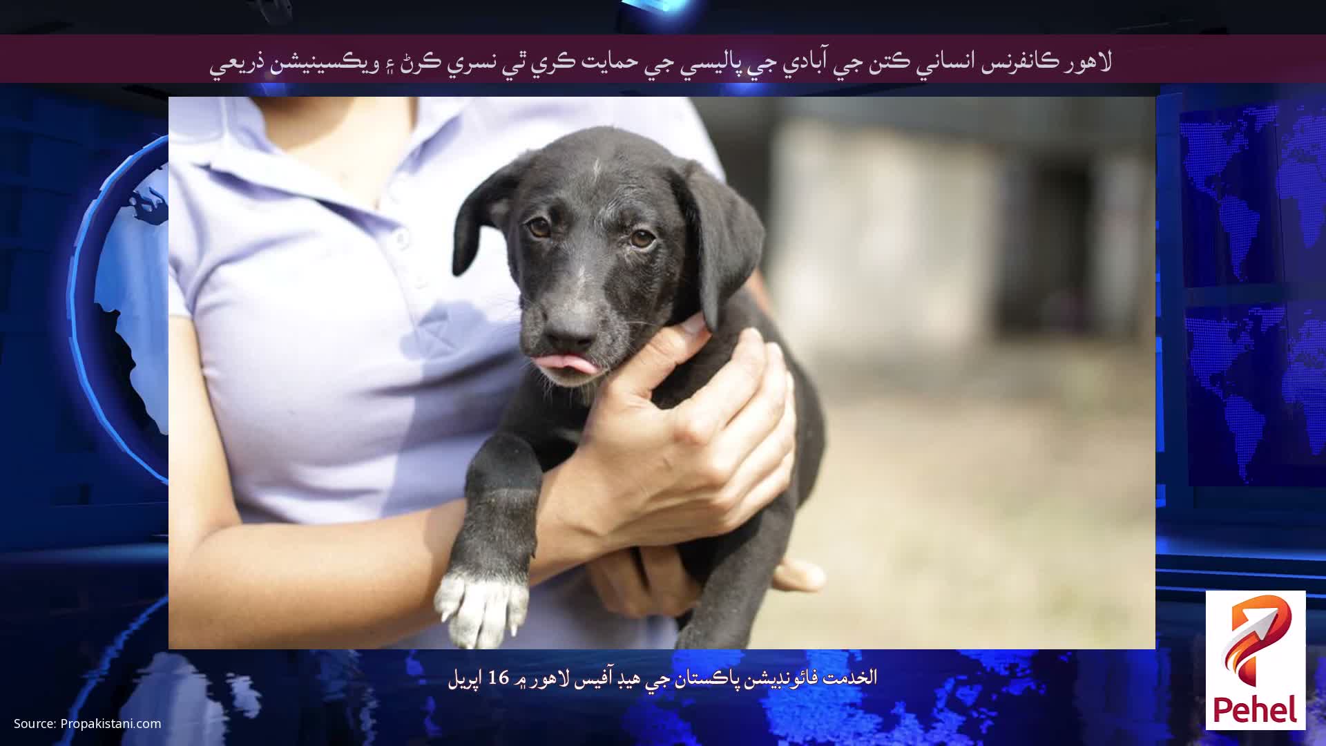 لاهور ڪانفرنس انساني ڪتن جي آبادي جي پاليسي جي حمايت ڪري ٿي نسري ڪرڻ ۽ ويڪسينيشن ذريعي